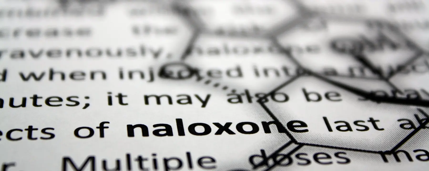 A closeup of a printed text about naloxone.