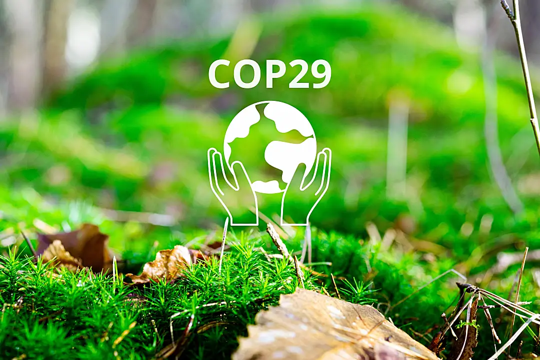 Green plants with a COP29 graphic featuring hands holding the globe