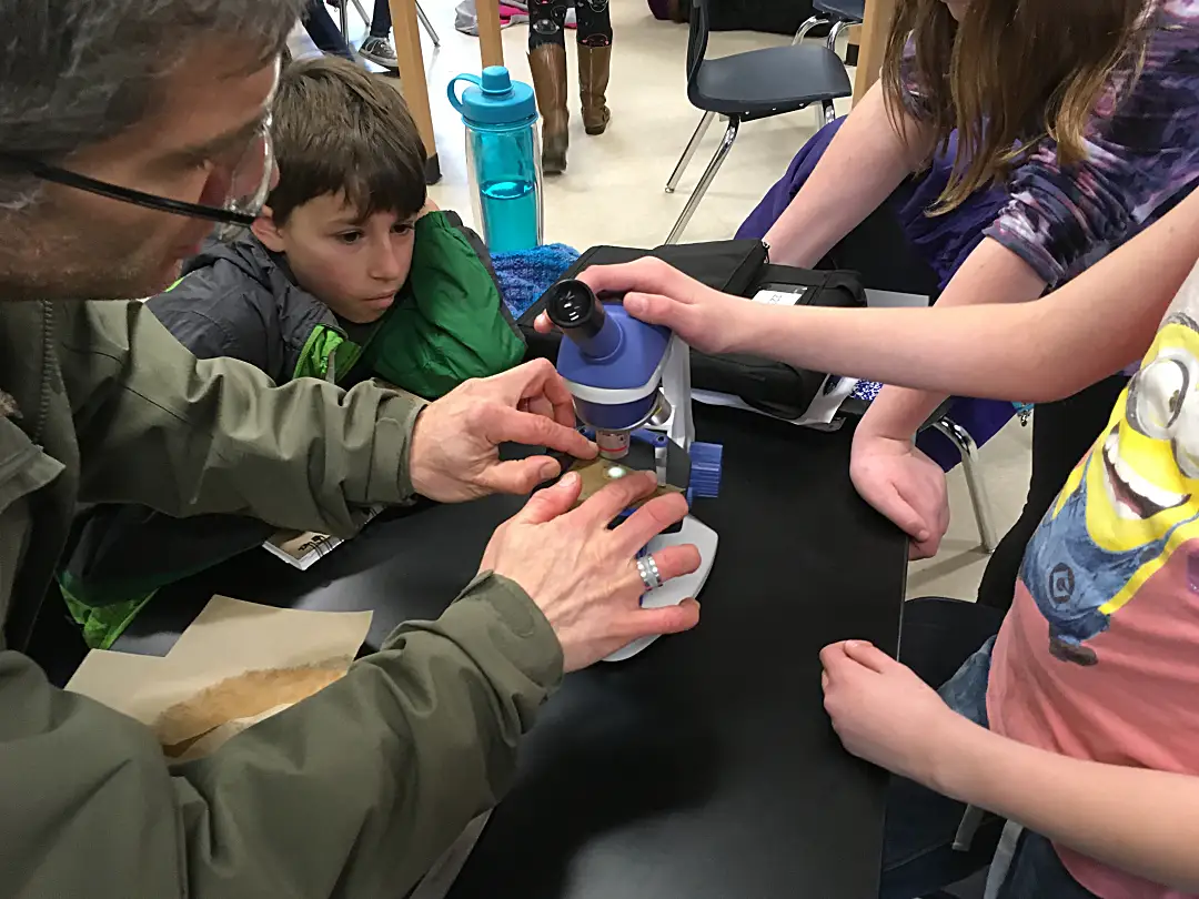 Edna Drinkwater School students looking at seawater samples under a microscope to detect microplastics