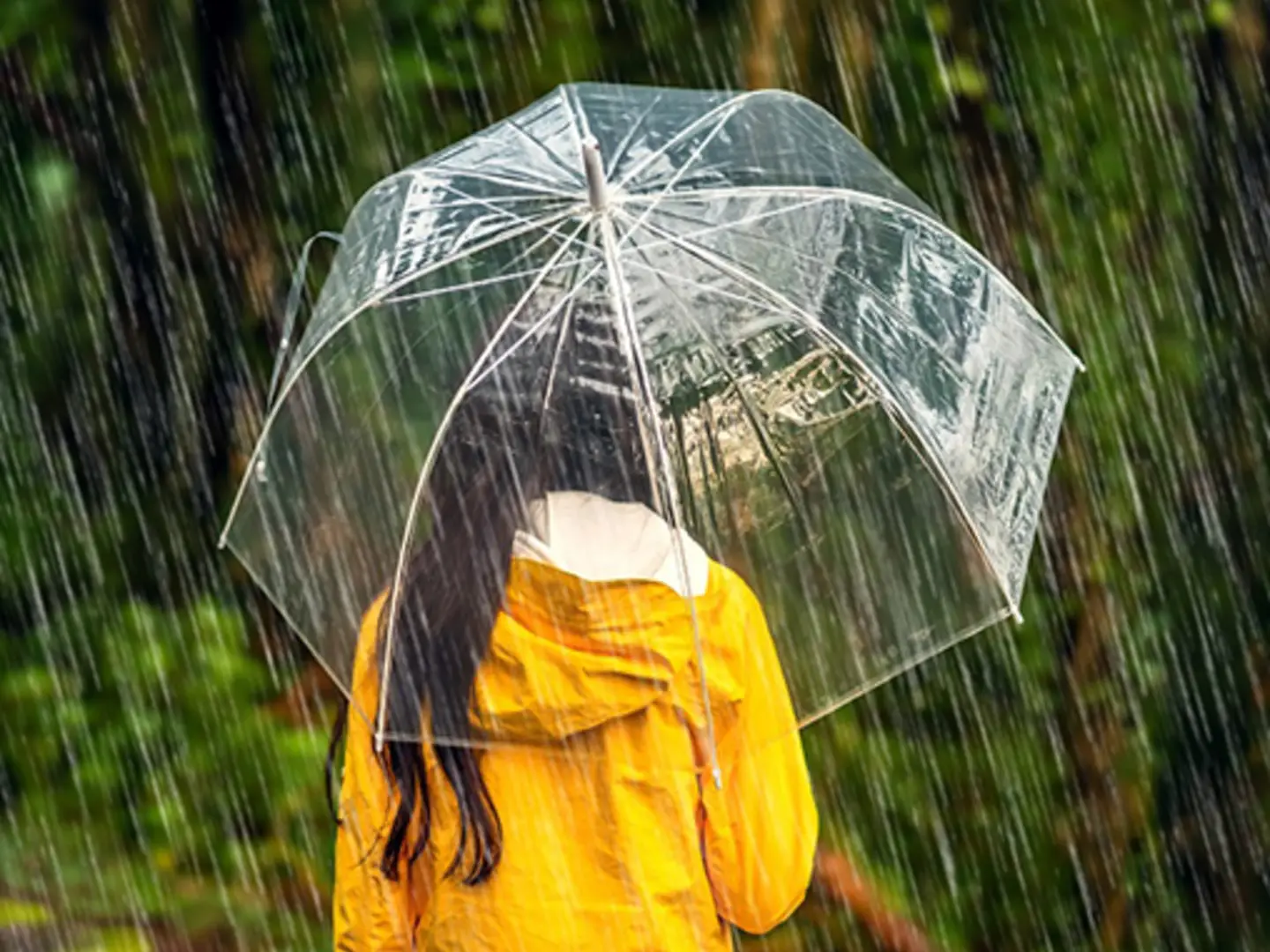 Girl wearing yellow rain jacket holding a clear umbrella standing in the rain