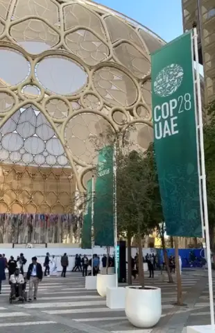 COP 28