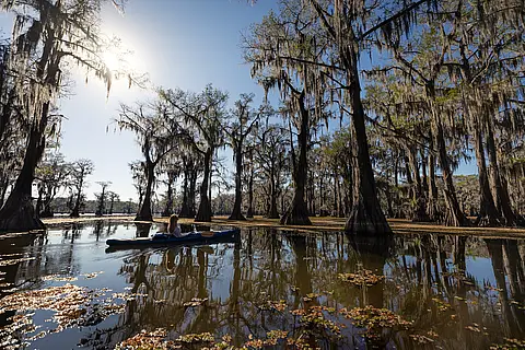 Caddo Lake