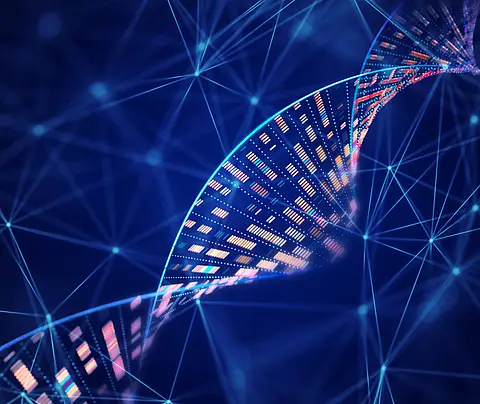DNA double helix