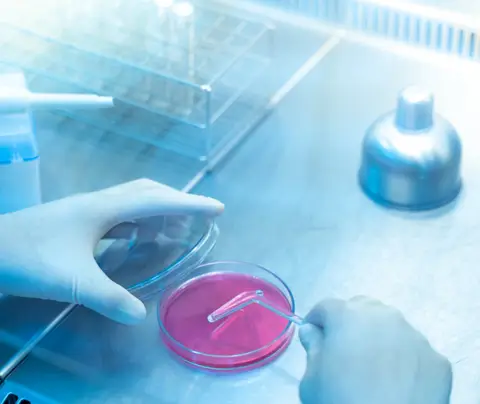 lab stock image