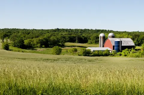 Barn and silos amidst green fields and forested hills under a clear blue sky.