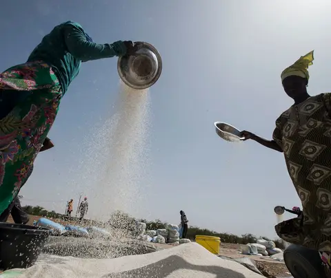 Senegal grain production