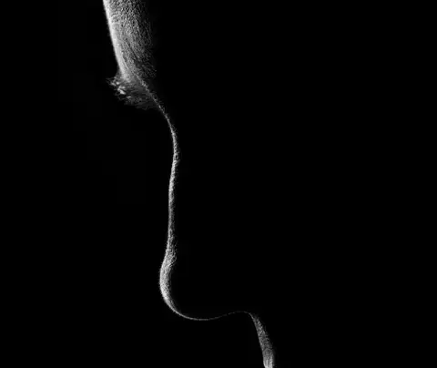 silhouette of face