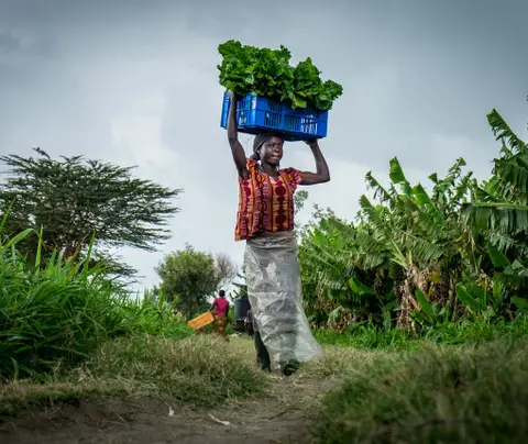 A woman carries a basket of greens on her head along a rural path surrounded by crops.