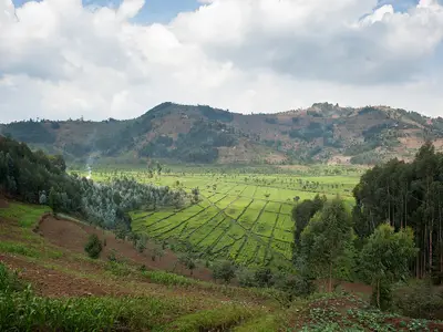 Overlooking a field of crops with a mountain terrain 