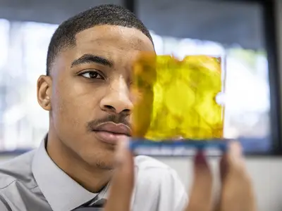 Young scientist examines sample