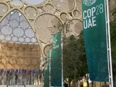 COP 28