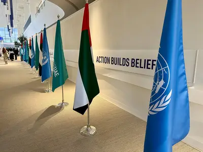 Flags at COP28