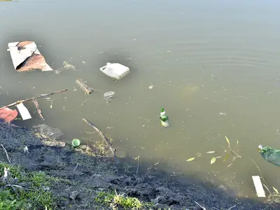 water pollution