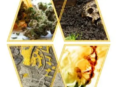 Photo collage with pictures of marijuana leaves, a mouldering skull, a DNA helix, and a footprint impression.
