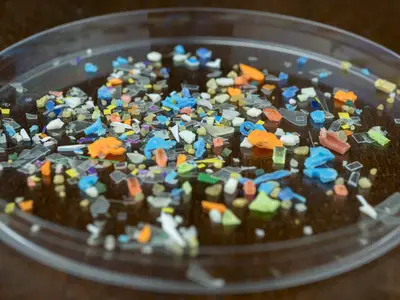 Microplastics