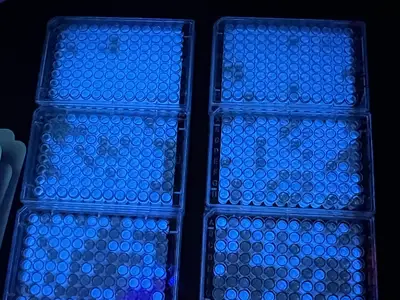 Glowing test tubes