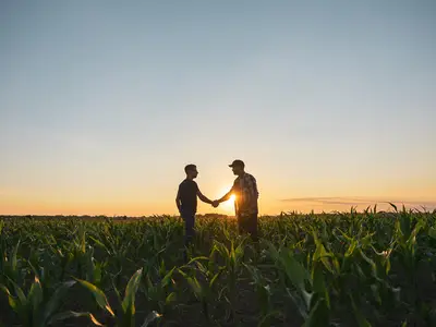 Two men shaking hands in a corn field