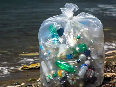 Clear trash bag with plastic bottles in it on the shore of a lake or ocean