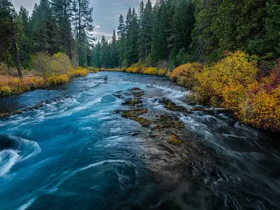 River in woods