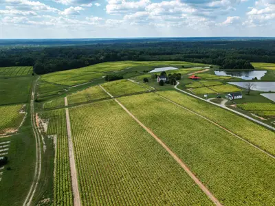 Farm landscape in North Carolina