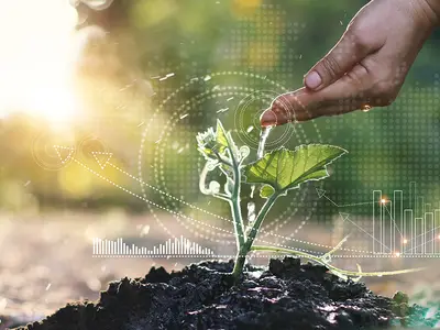 Hand touching plant growing in the ground