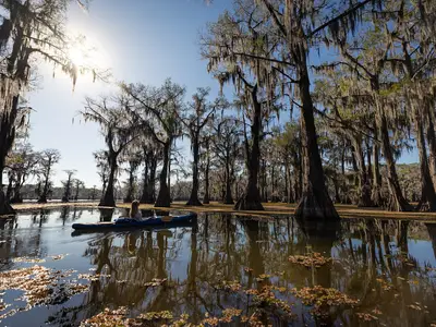 Caddo Lake