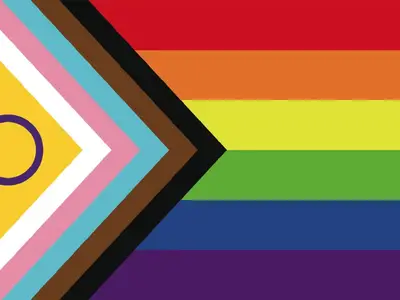 image of the lgbtqia+ flag