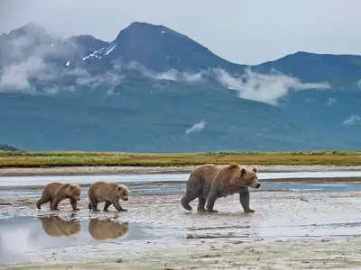 Stock image of national park