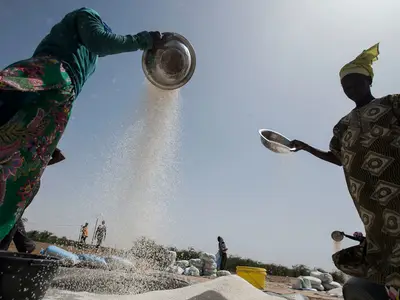 Senegal grain production