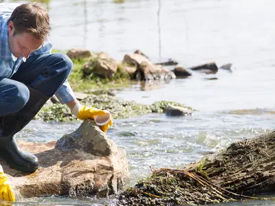 Water Quality Testing