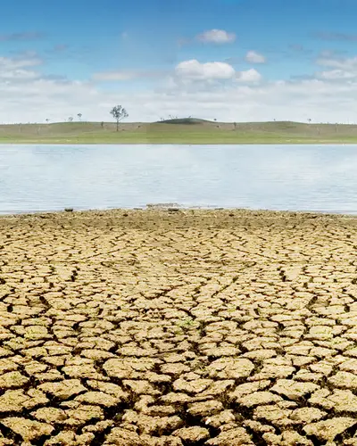 Climate Resilience