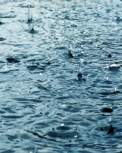 Monitoring and Forecasting