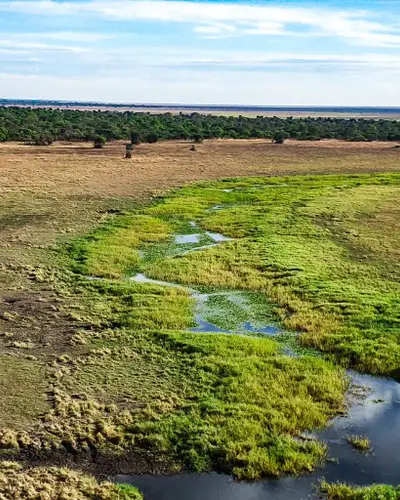 A view of wetlands on a sunny day