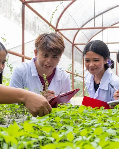 People in the Philippines looking at crops growing in greenhouse