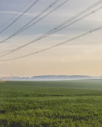 Power lines cross a green landscape.