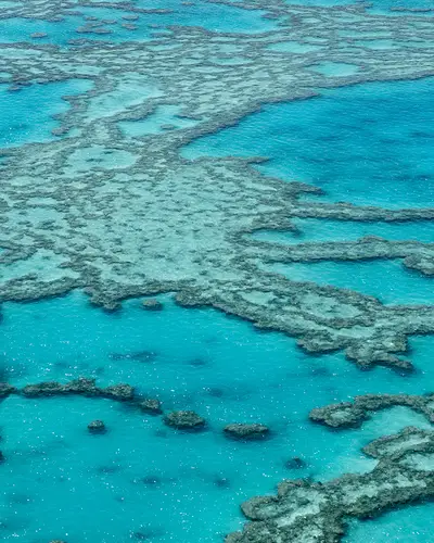 Aerial view of the great barrier reef.