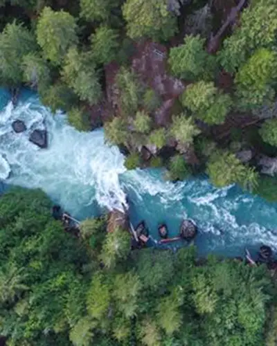aerial shot of blue river with pine trees