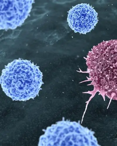 graphic drawing of cells