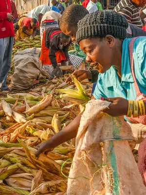 Lady gathering corn at an African market