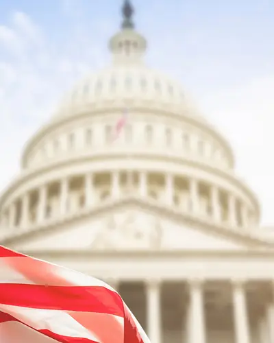 us capitol flag government