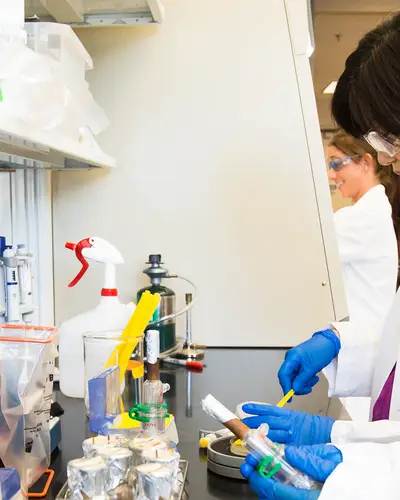 Microbiologists work in the lab