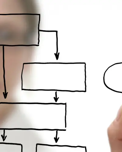 A researcher draws a flowchart