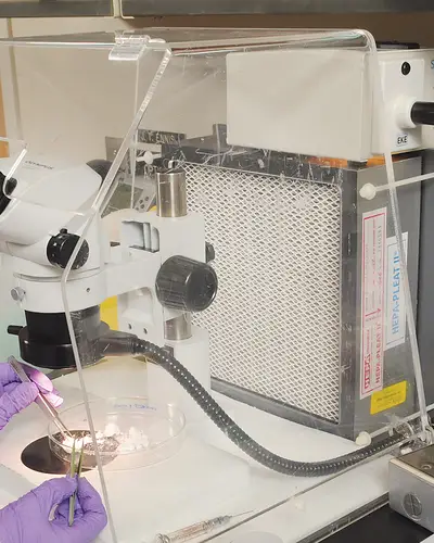 Chemist looking at asbestos  