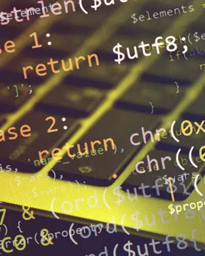 Display of software code