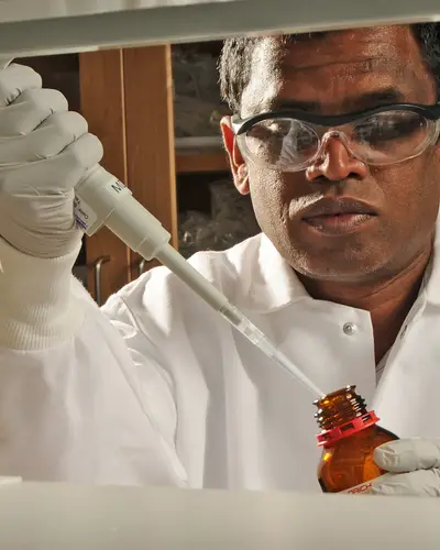 Research biochemist Wimal Pathmasiri in the lab