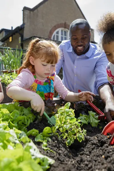 Photo of preschool students and a teacher working in a garden.