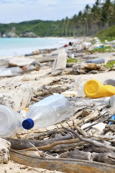 Plastic bottles litter a scenic beach.