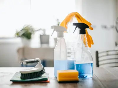 Cleaning products: spray bottles, sponge, scrub brush