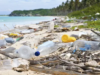 Plastic bottles litter a scenic beach.