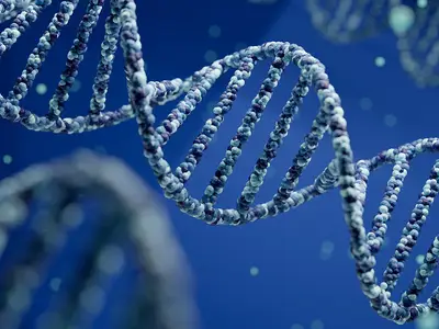 Illustration of a DNA molecule.